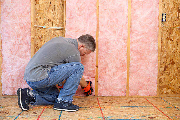 Types of Insulation We Offer in AZ